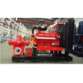 Disel Engine Double Suction Irrigation Water Pump